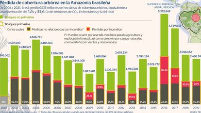 Por qué salvar a las abejas es importante para la economía mundial