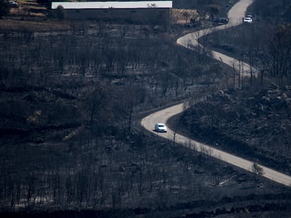 Superficie calcinada por el incendio de Cualedro (Ourense).