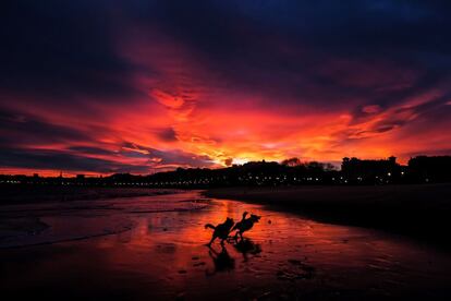 Dos perros juegan al amanecer en la playa de Ondarreta de San Sebastián (País Vasco).