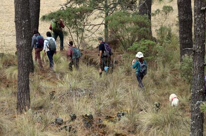 Senderismo en el Llano de los Conejos