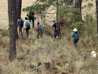 Senderistas recorren el Llano de los Conejos, en Morelos.