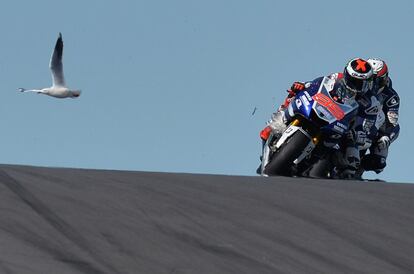 Una gaviota choca contra la moto de Jorge Lorenzo