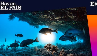 ¿Está naciendo una nueva diplomacia verde sin Washington?