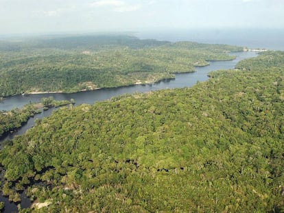 Foto aérea de uma parte da região amazônica.