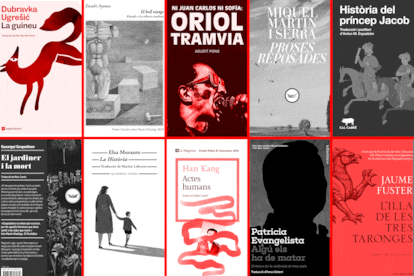 11 llibres recomanats pels crítics de Quadern el juliol de 2025