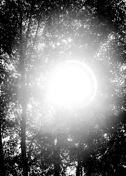 La luz se abre paso entre el paisaje como símbolo de la “libertad y sabiduría de esta nueva etapa”.