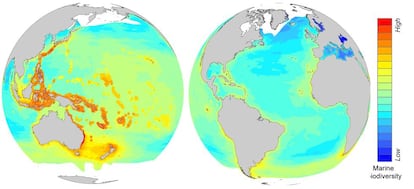 O mapa mostra as regiões com maior riqueza de espécies, em vermelho, e as que têm menos biodiversidade.