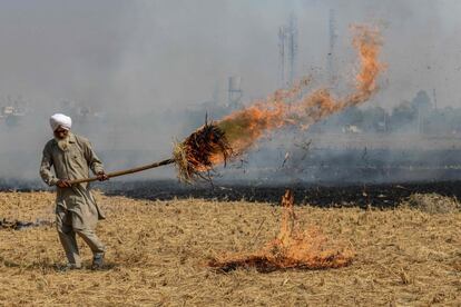 Un agricultor quema los rastrojos de paja después de cosechar un cultivo de arroz en un campo en las afueras de Amritsar (la India).