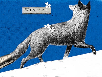 Carta de invierno a un escritor remoto