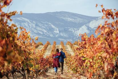 La Sierra de Cantabria y la Sierra de la Demanda escoltan un paraíso enológico, que permite muchas actividades al aire libre gracias al clima cómplice.