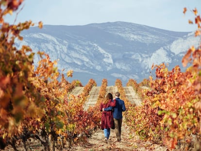 La Sierra de Cantabria y la Sierra de la Demanda escoltan un paraíso enológico, que permite muchas actividades al aire libre gracias al clima cómplice.