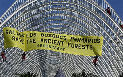 Activistas de Greenpeace, ayer, en el momento de descolgarse desde lo alto de L'Umbracle para colocar la pancarta contra la madera ilegal.