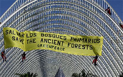 Activistas de Greenpeace, ayer, en el momento de descolgarse desde lo alto de L&#39;Umbracle para colocar la pancarta contra la madera ilegal.