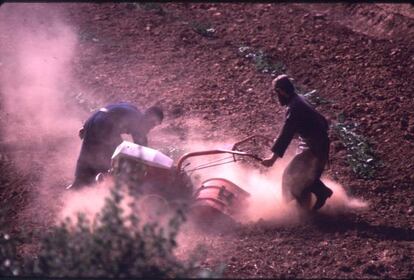 El trabajo en los peque&ntilde;os huertos ocupa buena parte de la jornada de los monjes