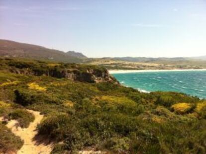 La asociación Ruralia de Tarifa (Cádiz) propone rutas senderistas para descubrir la naturaleza del Estrecho.