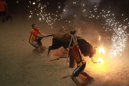 Dos hombres en los 'correbous' de Campredo, en Tarragona. Los grupos antitaurinos tachan de "salvajada" estas celebraciones en las que se incendian los cuernos del toro. Consideran que es maltrato animal.