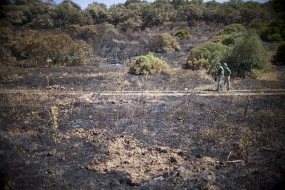 Dos miembros de la Brigada de Investigación de Incendios Forestales (BIIF), a la llegada a la zona del incendio ya extinguido, el 14 de julio de 2016.