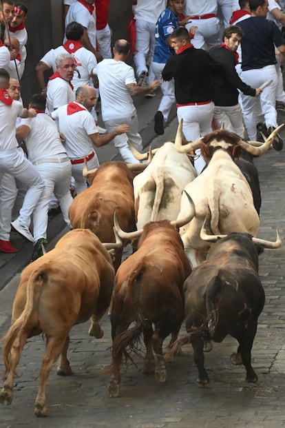 La manada de  toros de Jandilla, en un momento del encierro.