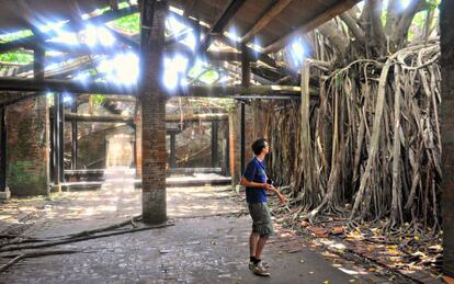 Casa Árbol en el distrito Anping, en Tanian (Taiwan).