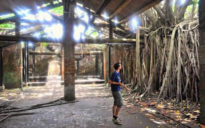 Casa Árbol en el distrito Anping, en Tanian (Taiwan).