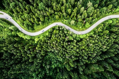 Vista de dron de una carretera de la Selva Negra, la gran masa forestal situada en el Estado de Baden-Wurtemberg, al suroeste de Alemania. 