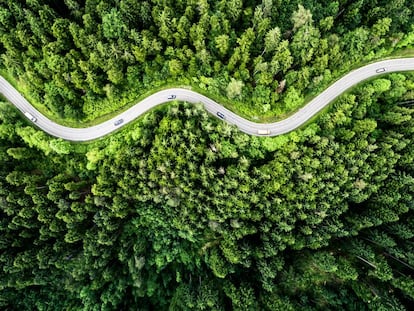 Vista de dron de una carretera de la Selva Negra, la gran masa forestal situada en el Estado de Baden-Wurtemberg, al suroeste de Alemania. 