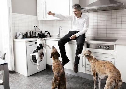 Fernando Grande-Marlaska (Bilbao, 1962) comparte su vida con una fox terrier, 'Pep'a, y dos galgos adoptados, 'Martina' y 'Duende'. “Es una raza que representa la idea del maltrato sistemático de nuestra sociedad hacia los animales. Esa es una de las cuestiones que menos en serio nos tomamos en este país”. <u><a href="https://elpais.com/elpais/2016/04/02/eps/1459548036_145954.html" target="_blank">Sigue leyendo su historia</a></u>