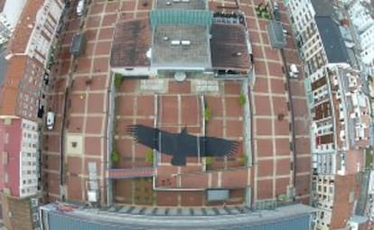 The Vulture Shadow, proyección de la sombra de un buitre sobre el Artium, obra de Juan Zamora.