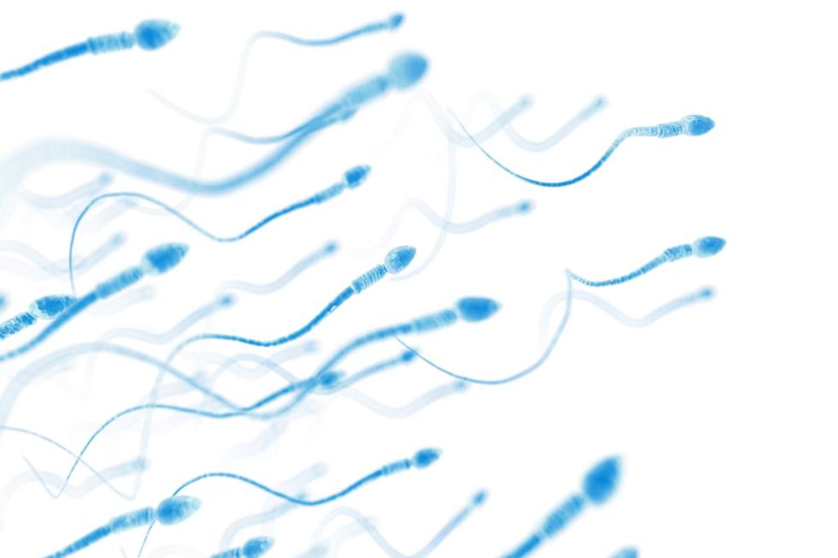 Seis rumores sobre el semen revisados por expertos en fertilidad | Fotos |  Bienestar | BuenaVida | EL PAÍS