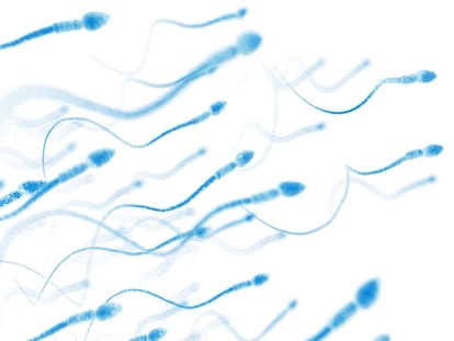 Seis rumores sobre el semen revisados por expertos en fertilidad