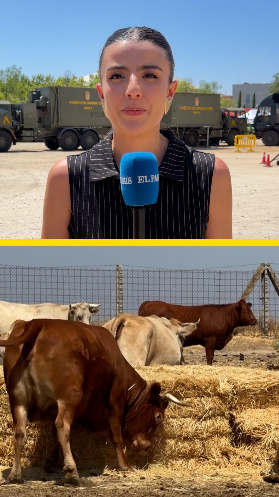 La Guardia Civil facilita el acceso de los ganaderos a sus explotaciones: “Los animales llevan días sin comer”