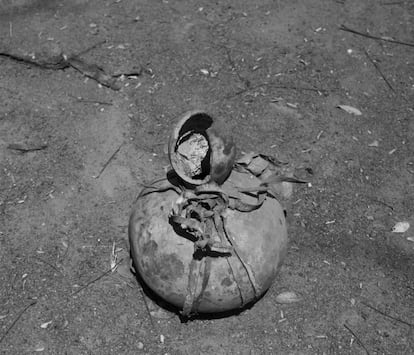 Una calabaza seca, tradicionalmente utilizada por los curanderos como contenedor para las medicinas durante las ceremonias de sanación.