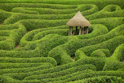 Vista la cantidad de niños que la familia Fox tenía que entretener decidió plantar este laberinto en el centro de su jardín, a un lado del valle en el que se encuentra. Es un auténtico reto para los visitantes, pues se extiende más de un kilómetro, enrollándose en espiral en apretados círculos. Y aunque la mayoría decide recorrerlo, muchos prefieren disfrutar simplemente del placer de sentarse enfrente y mirar cómo otros viven la confusión, la frustración y, si tienen suerte, el triunfo de llegar al centro. El laberinto se diseñó en la década de 1820 para que se mantuviese solo y se plantó en 1833 con lauroceraso, conocido por su denso follaje. Unas palmeras marcan las cuatro esquinas del laberinto y en el centro hay un cenador con techo de paja. El entretenimiento familiar sigue garantizado. <a target="_blank" href="https://www.nationaltrust.org.uk/glendurgan-garden/features/adventure-the-maze-and-giants-stride-rope-swing ">nationaltrust.org.uk</a>