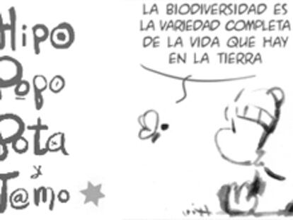 RAMÓN