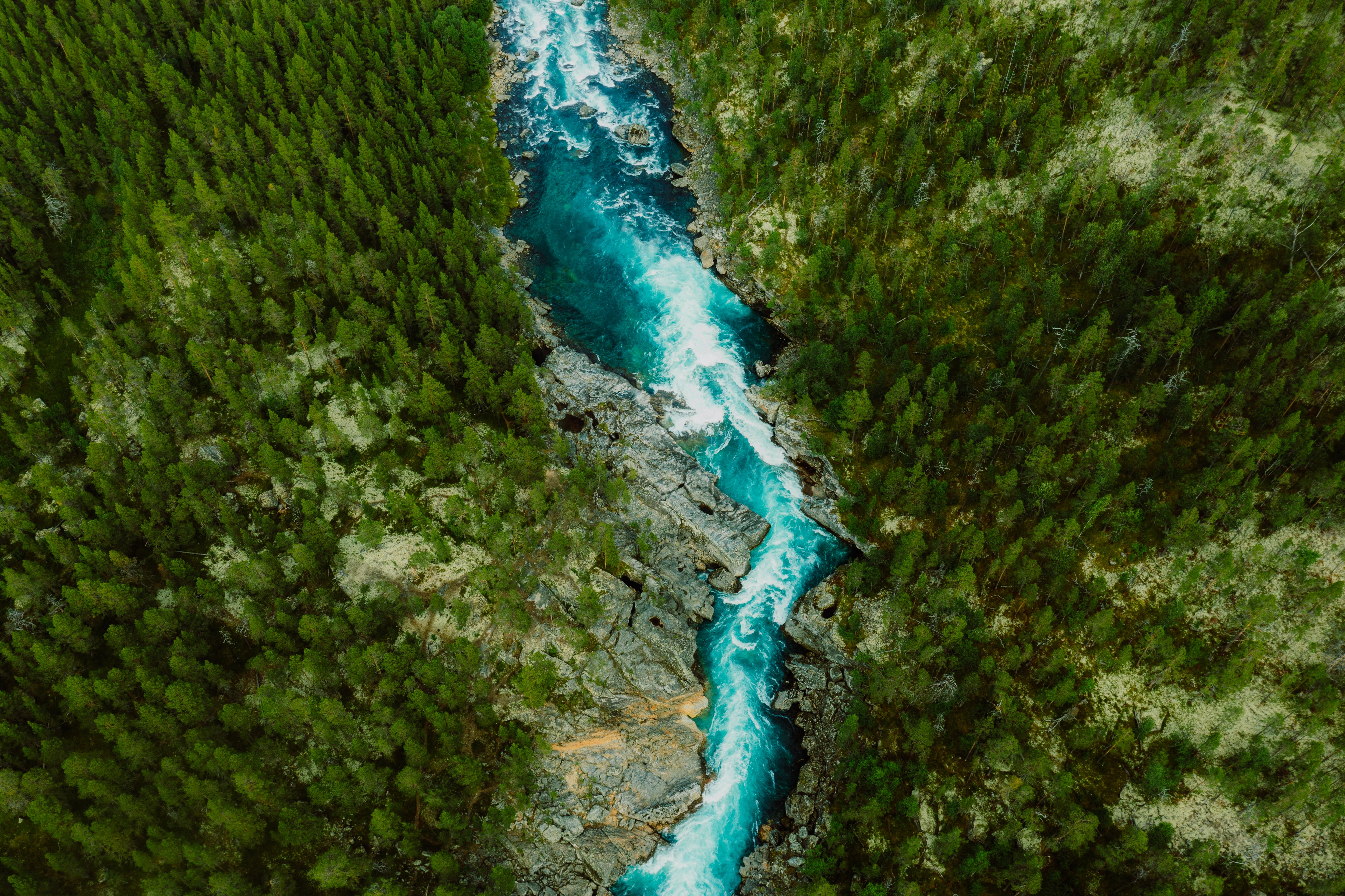 Nuestro futuro depende de restaurar la naturaleza  