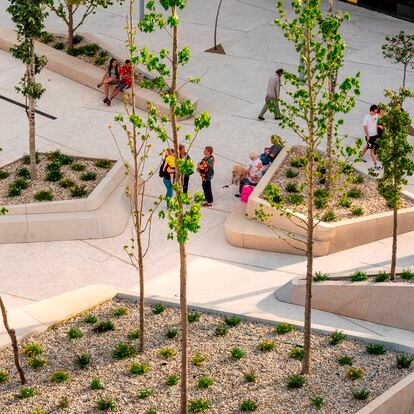Las jardineras ideadas por los arquitectos sirven de asiento y parterre.