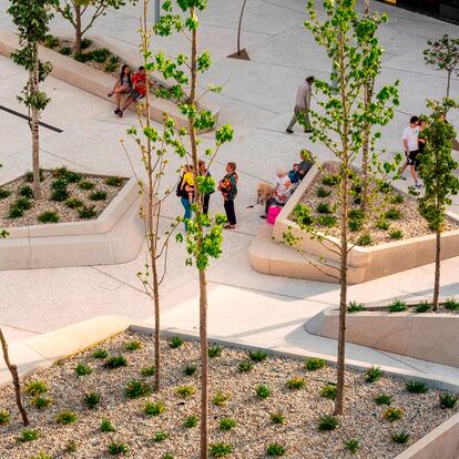 Las jardineras ideadas por los arquitectos sirven de asiento y parterre.