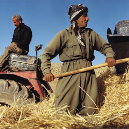 Agricultor recogiendo el trigo en la zona de Sakilana.