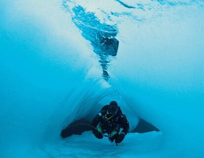 Inmersión durante uno de los proyectos de naturaleza submarina impulsado por Rolex.