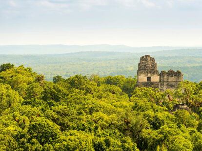 Dos de los templos del complejo arqueológico de Tikal, en Guatemala.