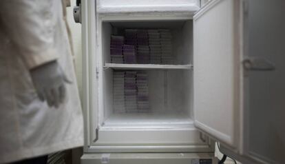 Nevera en la sala fría del insectario de Target Malaria, donde se guardan las pruebas y los reactivos usados en la investigación.