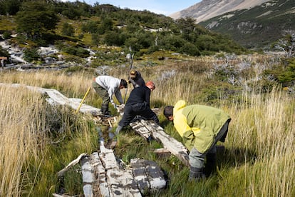 Trabajos de mantenimiento de sendas en el sendero Fitz Roy por parte de la Brigada de Sendas (PNLG).