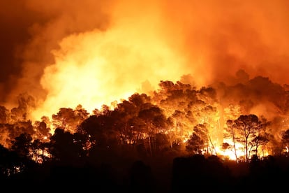 Árboles ardiendo durante un incendio forestal cerca de Saint-Laurent-de-la-Cabrerisse, en el sur de Francia, este miércoles.