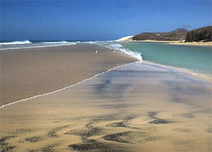 SOTAVENTO DE JANDÍA, Pájara (Fuerteventura). De Jeanette Göhner (Santa Cruz de La Palma), de 38 años.