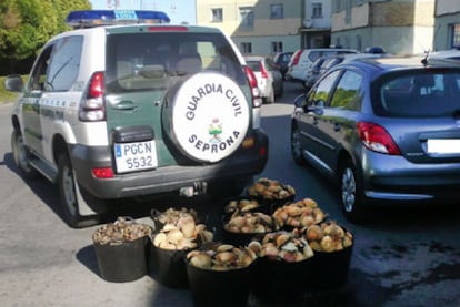 A Civil Guard operation in A Coruña against illegal fishing.