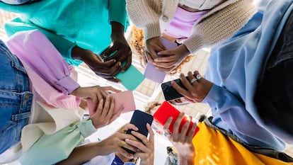 Claves para discernir y cuestionar la información que circula en internet