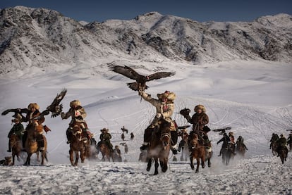 El águila real es uno de los animales más majestuosos de los que surcan los cielos: puede superar los dos metros de envergadura y alcanzar los 240 kilómetros por hora. Los kazajos, un pueblo de jinetes y cazadores que habita en las regiones montañosas de Asia Central, han sido capaces de domesticar a esta reina del aire. Unos 400 cazadores de esta etnia mostraron a finales de enero sus técnicas durante una competición en Qinghe, una región al noroeste de China que limita con Kazajistán, Rusia y Mongolia. Los participantes debían demostrar en el torneo sus habilidades en tres categorías: mejor coordinación entre águila y propietario, mejor águila cazando una presa y mejor águila localizando a su dueño a gran distancia. Un encuentro donde la cetrería y los atuendos tradicionales se funden con un imponente paisaje.