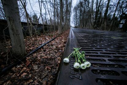 Cuatro rosas blancas depositadas en la ruta del traslado de los jud&iacute;os de Berl&iacute;n a Auschwitz conmemoran el 70 aniversario de la liberaci&oacute;n del campo de concentraci&oacute;n