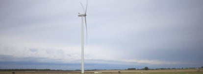 Una turbina e&oacute;lica en un pasto en Libertad, en el departamento uruguayo de San Jos&eacute;.