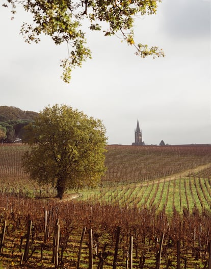 Château Angelus es uno de los vinos más caros de la orilla derecha del Garona. El vino de James Bond en alguna de sus películas. Al fondo, la mítica capital vitícola de Saint-Émilion.